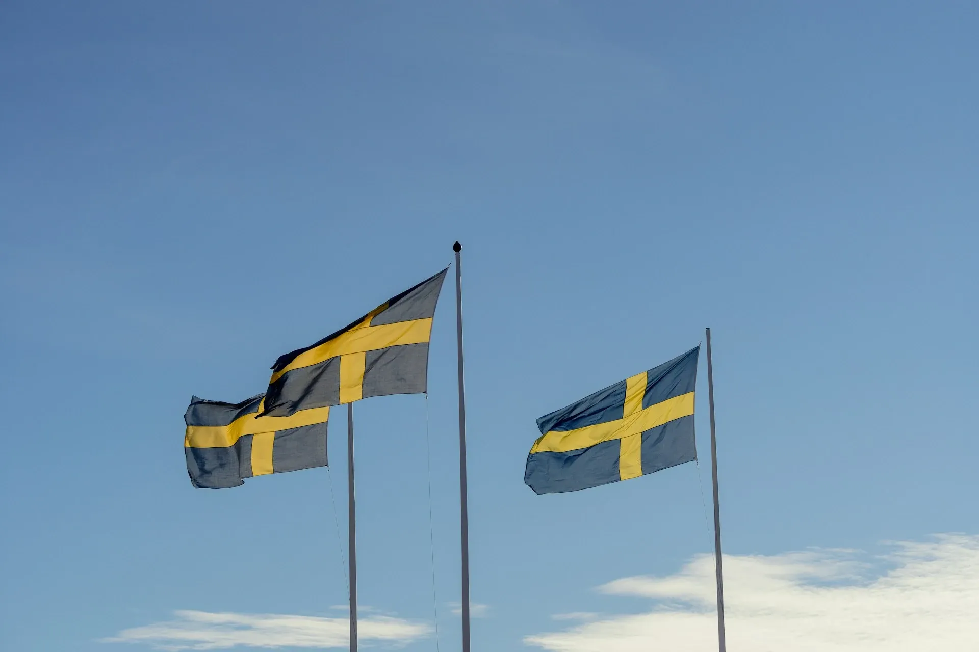 Swedish flags
